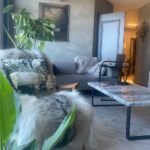 Дизайн и ремонт квартиры 100м2 в Батуми ЖК "ALMARE"